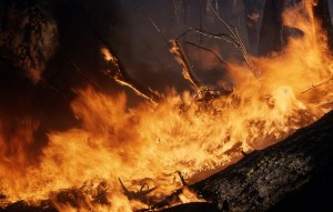 woods-equipment-fire