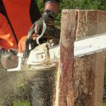 Chainsaw PPE Selection