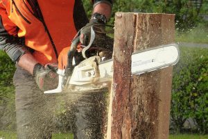 Chainsaw Personal Protective Equipment