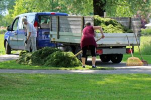 Lawn Work